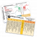 Rapid ID - EKG & RASS 